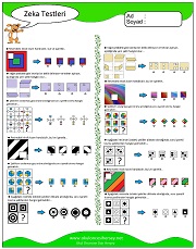 Zeka Gelişim Testleri